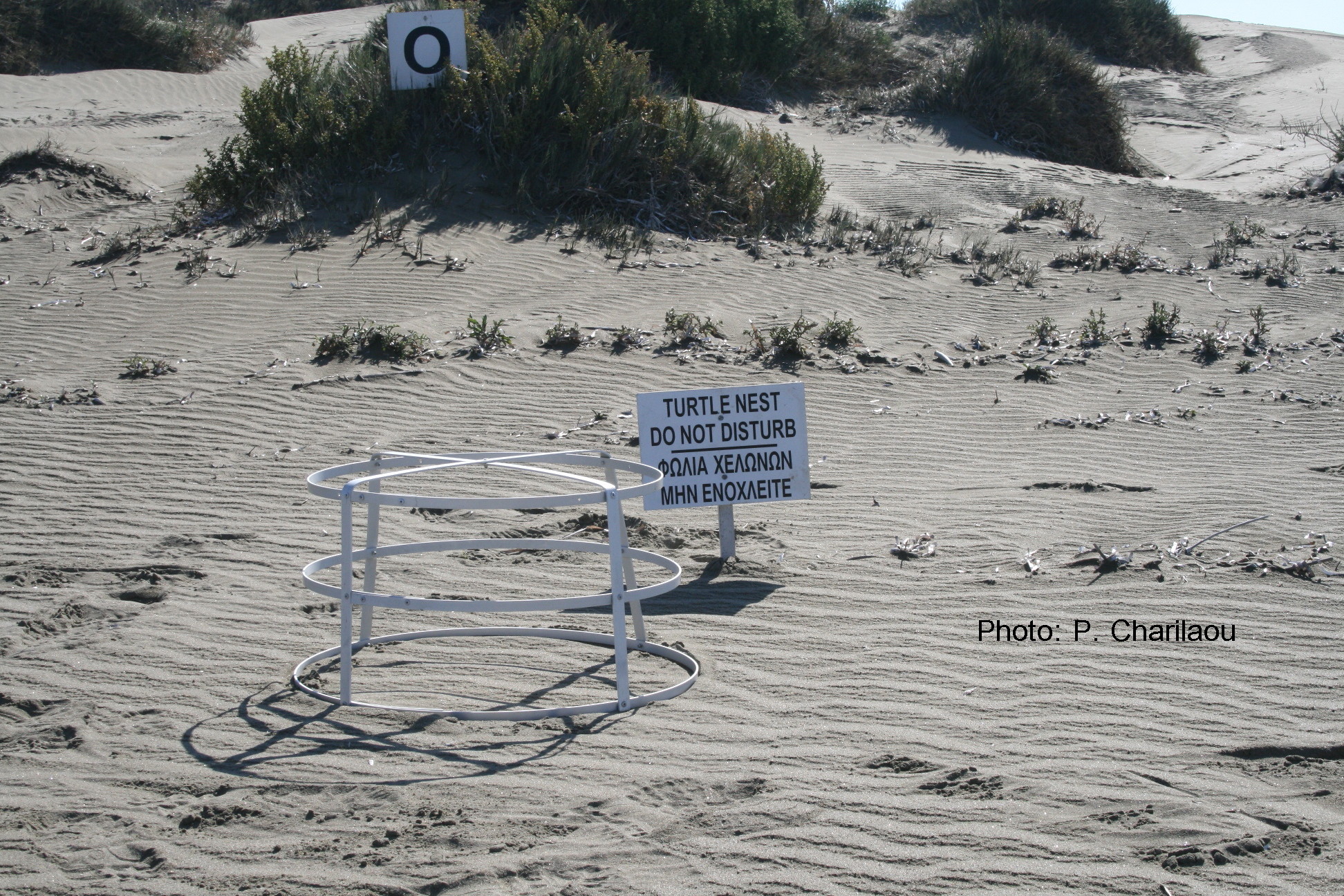 Image shows turtle nesting do not disturb sign on the beach.